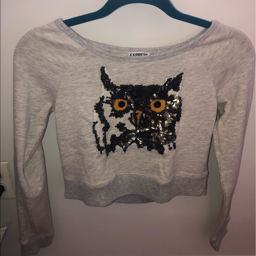 Cropped Express sweater